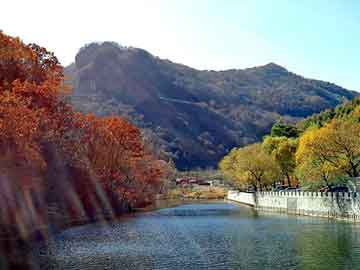 天下彩票免费资料大全，理性购彩，享受乐趣天下彩票免费资大全彩+小说