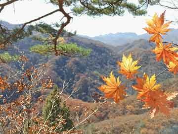 澳门六开彩近15期结果查询表，理性看待彩票，谨慎参与